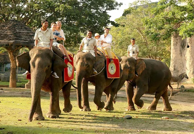 Bali Safari & Marine Park Elephant Back Safari