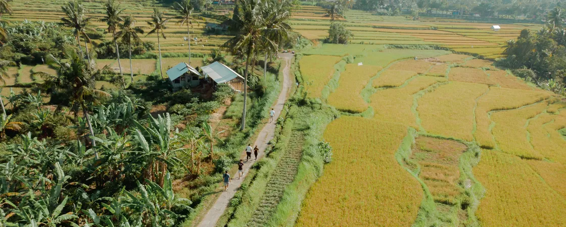Discover Bali's Hidden Gems with Rural Trekking Adventures
