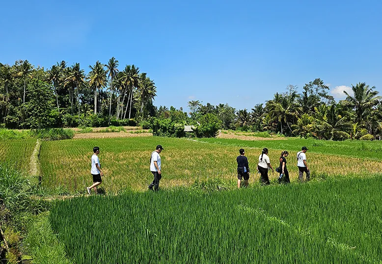 Bali Rice field | Bali Rural Trekking Adventures