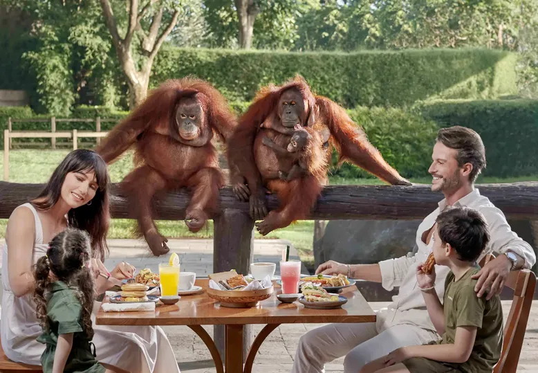 Bali Zoo Breakfast With Orangutan | Bali Made Tour